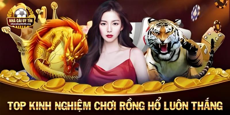 Kinh nghiệm bất bại khi chơi game bài Dragon Tiger