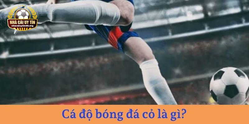 Bí kíp nên nhớ áp dụng khi chơi bóng cỏ