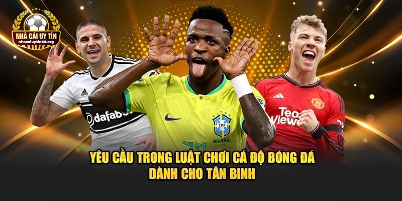 Những nội dung chính có trong luật cá cược bóng đá